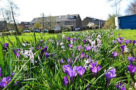 Mengsel Leerdam